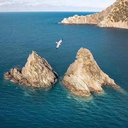 Appartement Pied Dans L'Eau La Seyne-sur-Mer Zewnętrze zdjęcie