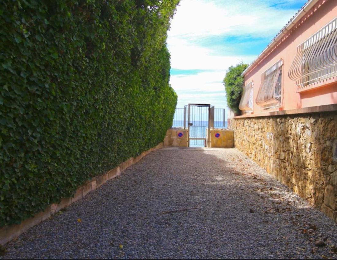 Appartement Pied Dans L'Eau La Seyne-sur-Mer Zewnętrze zdjęcie